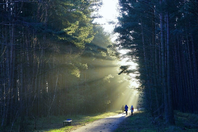 Meditative Walk